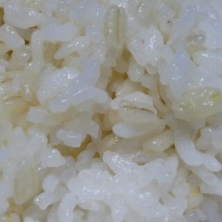 糖質ひかえめご飯